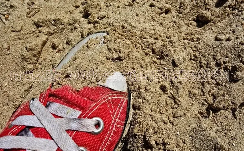 时尚之巅：2025年全新豹纹厚底运动鞋设计